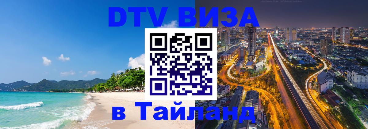 Оформление DTV визы под ключ: стоимость и тарифы, только загранпаспорт - 